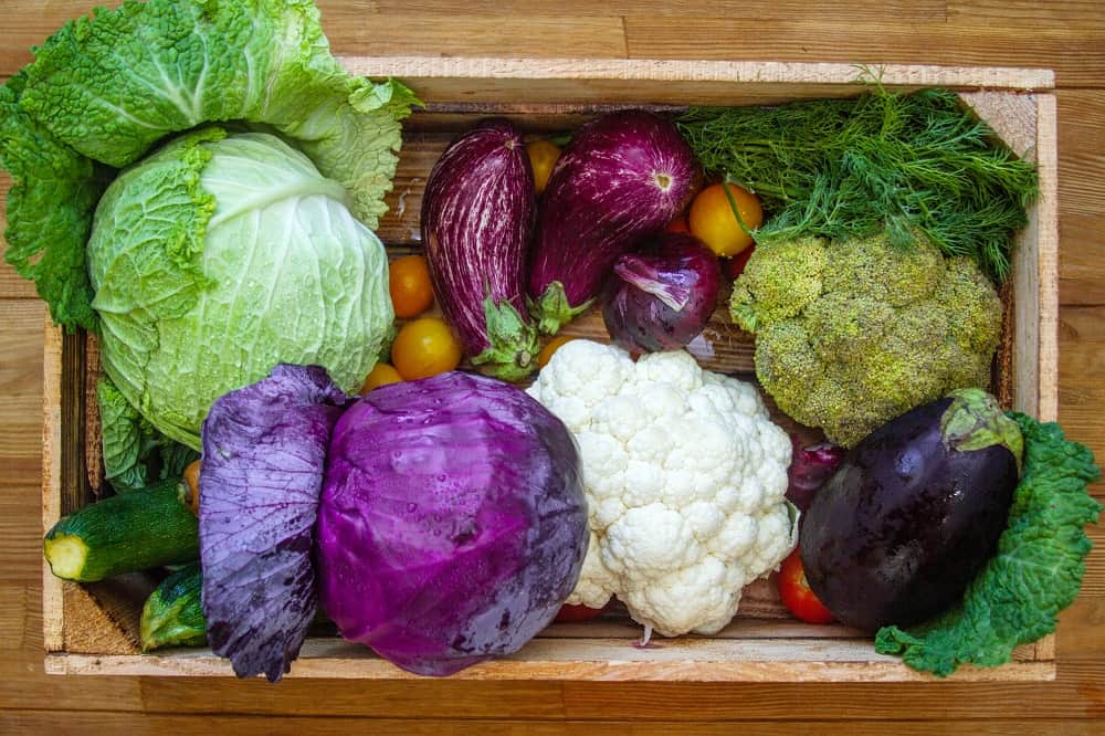 How to Define If Something Is Vegan or Not Vegan Picker