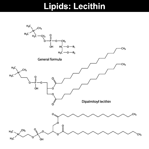 lecithin formula